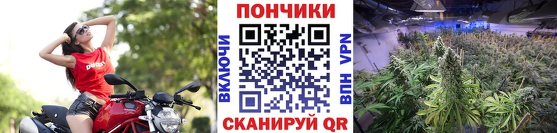 Купить наркотики сайты Губкинский КОКАИН  АМФ  Alpha-PVP  Бошки Шишки  МДМА  КЕТАМИН  ГАШИШ  Мефедрон 
