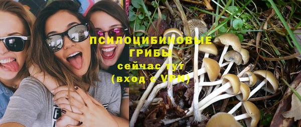 меф Белокуриха