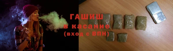 прущие грибы Богородицк