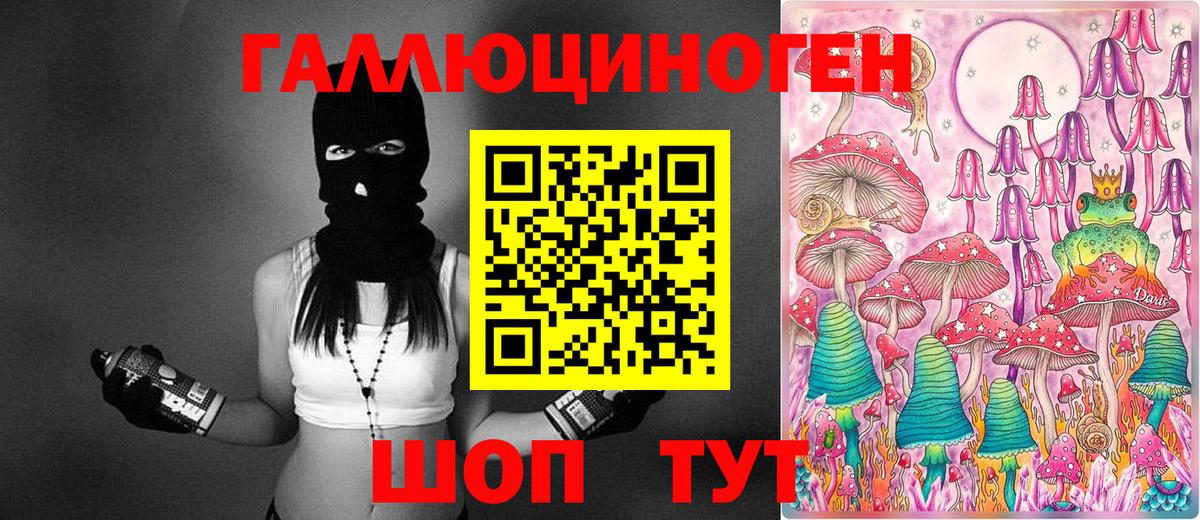 Галлюциногенные грибы мухоморы Губкинский